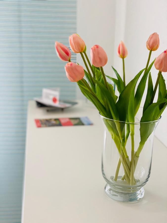 Ferienwohnung Familie Seuferle Schweigen-Rechtenbach Luaran gambar
